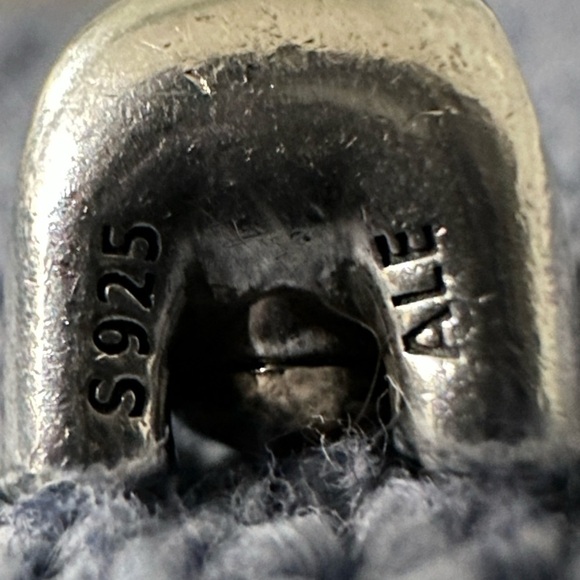 Pandora: Limited Edition Bear My Heart Charm (Retired) - Picture 15 of 16